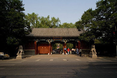 Xdevios免费版官网入口：游戏开发新纪元，全民共创精彩世界