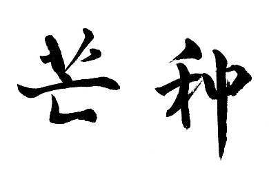 老BwBwBwBwBwBWBwBwBw的评价：探秘神秘游戏“老BwBwBwBwBWBwBwBwBw”：独特魅力引发玩家热议