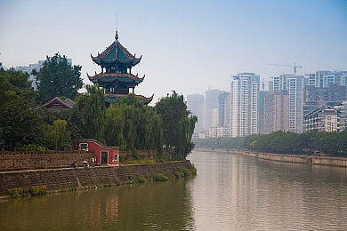 女上男下动态视频：性别反转魅力之旅：探索女性主导的动态影像新境界-5