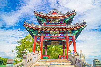 天堂√最新中文在线：梦想航程，共创天堂奇迹-5