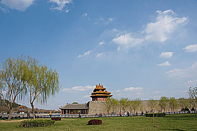 打扑克又疼又叫免费下载视频软件：娱乐下载两不误，扑克狂欢隐私无忧-2