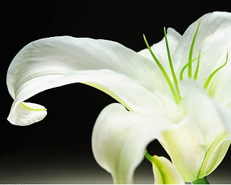 草莓视频黄色片子：揭秘网络新潮流，草莓视频开启视听盛宴之旅-1
