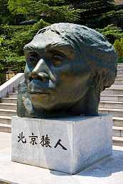 5x社区直接进入5XSQ含羞草免费：畅游5x，一键领5XSQ资源，轻松畅玩无忧界