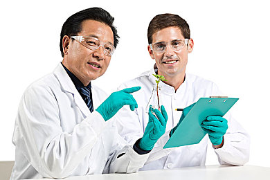 91视频破解：版权争议激荡，破解软件风波：权益平衡之道待解
