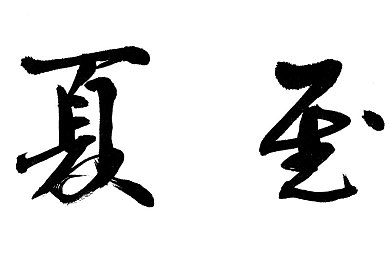 儿媳周莹回乡扫墓：回乡祭祖情浓，周莹致敬故土家国梦-1