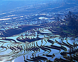 流氓视频APP下载大全：海量视频APP一键获取，揭秘热门下载平台畅享视觉盛宴-3
