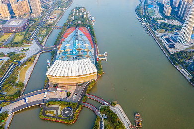 蝴蝶传媒4,3,5黄：游戏SEO新纪元，蝴蝶助力，排名飞跃，流量飙升！