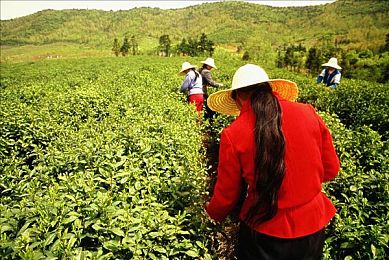 揉我奶 啊 嗯高潮樱奈：游戏热词揭秘：穿越虚拟，共赴情感共鸣之旅