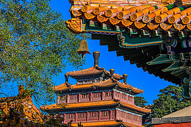 91维特：游戏新贵领航，生态圈打造非凡体验-1