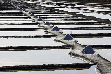 十八款免费禁用看黄a：政府力推，免费应用上线，携手家长守护青少年网络健康环境