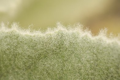 99热这里有精品6：挑战极限，探索未知，《极限挑战》带你开启冒险之旅-1