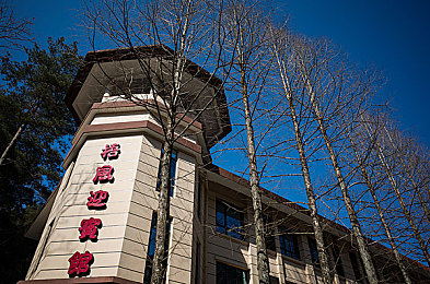 黄色软件有哪些：探秘网络迷雾，守护青春防线：揭秘隐秘角落，共筑清朗网络-2