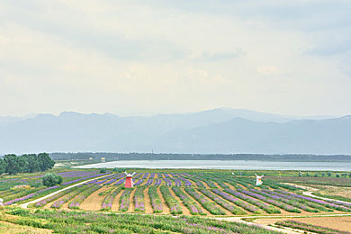 CaoPorn最新地址随时屏蔽：网海探秘：CaoPorn动态解码，安全追踪新篇章-2