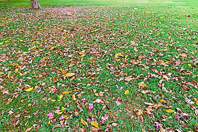 差差差很痛app大全免费软件：疼痛体验新纪元：挑战极限，解锁身心愉悦之旅