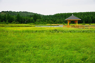久久er视频：探秘多元视界，尽享“久久”精彩之旅