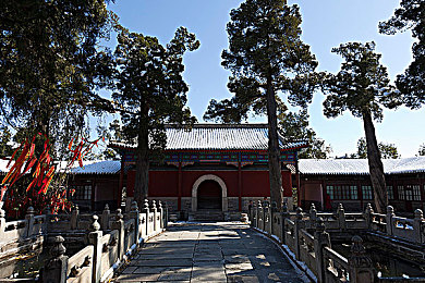 91黑料吃瓜免费看：“娱乐圈揭秘神器上线，免费看黑料，实时追踪热点动态，揭秘幕后真相！”