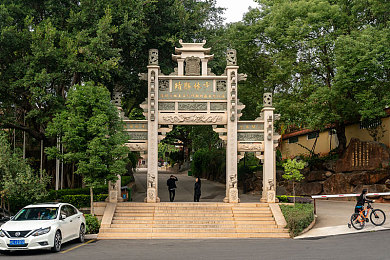 丝瓜,芭乐,猫咪,草莓,小猪：都市小确幸：蔬果萌宠，共绘生活甜蜜画卷-2