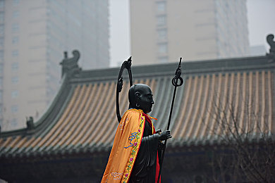 8X8 海外华人永久免费：跨越时空，情牵千里——8X8，海外华人温馨家园的桥梁-2