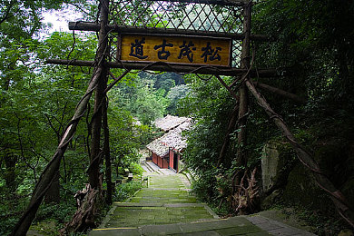 正能量网站WWW正能量软件：阳光活力之旅，畅游正能量游戏乐园