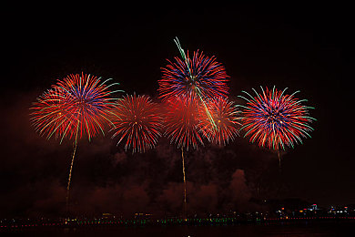 2019年免费中文大全：知识宝库盛宴：2019免费中文资源盘点，助力共享时代精神