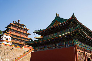 机机对机机2023手机免费下载版：战意盎然，视觉盛宴，无广告畅玩——揭秘《机机对机机》免费新篇章