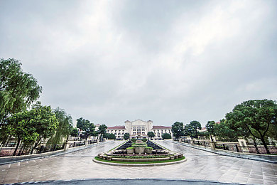 黑人巨大异族娇小：舞动非洲魅力，探寻独特文化风采-2