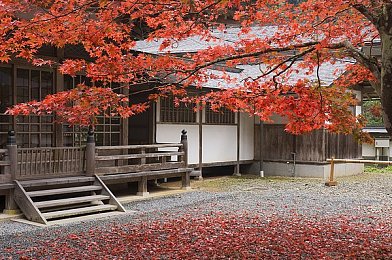 粉色视频苏州晶体免费版：短视频新宠：粉色主题“免费版”应用走红，引领拍摄分享新潮流-2