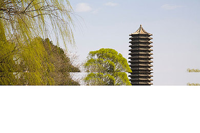 吃体育生出汗了一天的脚：“畅跑巅峰，足下呵护，运动脚部护理大挑战”-1