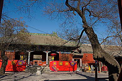 罗智莹：游戏新星崛起，深度评测揭秘：全新平台带来非凡体验，畅游游戏新天地