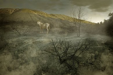 一区二区欧洲：欧洲探险之旅，畅游无界MMORPG新体验-2