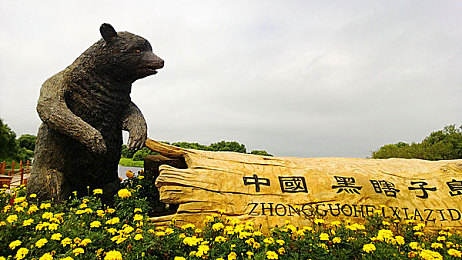 skinsdog官网mc珍妮：知名MC主播加盟， skinsdog官网焕新活力，电子竞技行业迎来新篇章