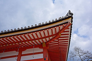胡桃大战史莱姆：传奇女战士胡桃：勇闯史莱姆荒野，谱写正义新篇章