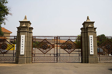 日本伦理片三上悠亚：演绎伦理深境，三上悠亚演技独领风骚