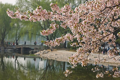 婷婷论坛：温暖网络家园，婷婷论坛见证成长与变迁，打造有爱社区-2