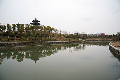 51黑料网吃瓜群众不打烊：娱乐圈探秘乐园，揭秘八卦盛宴不打烊-2
