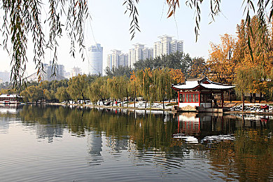 蘑菇视频更新版logo闪亮登场：焕新形象引领潮流，蘑菇视频开启短视频新纪元