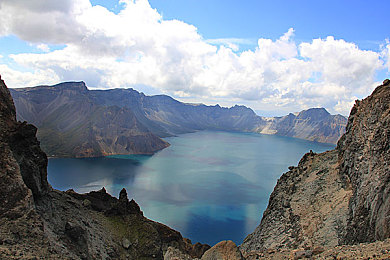 宝宝的兔子好水软：水软萌兔日常，温馨宠物养护之旅