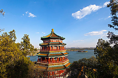 公交车被后入：穿梭都市，畅享“逆行”乐趣，公交驾驶新体验-4