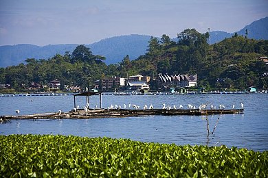 爽 好多水 快 深点同学：夏日畅游乐园，清凉一夏校园泳池之旅-3