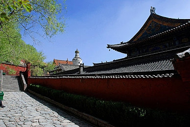 www.草莓视频看黄：网络监管风暴：揭秘短视频平台内容隐患，共筑清朗网络空间