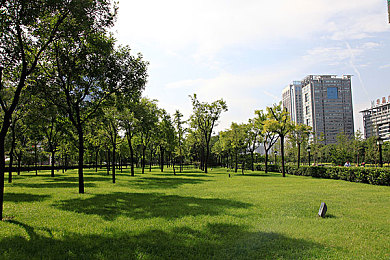 国产AV结婚：娱乐跨界，甜蜜婚途：揭秘AV明星幸福生活之旅-3