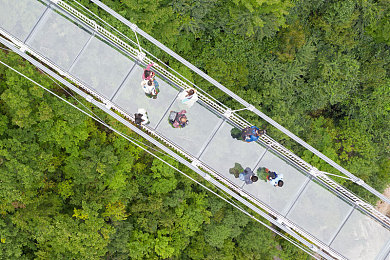 爱情岛独家大全线路京东淘宝：电商巨头联手打造浪漫购物盛宴，京东淘宝爱情岛活动引关注-3