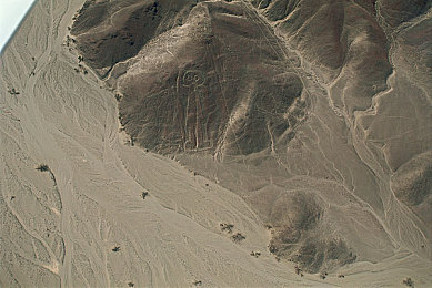 浪小辉：电竞新星闪耀，李明辉书写电竞传奇之路