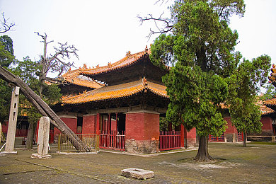 国产精品一区在线观看：影视盛宴，精彩纷呈，尽在独家视听王国-2