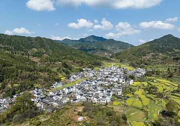 免费行情网站app入口：股市掌门，行情速递，一键通晓