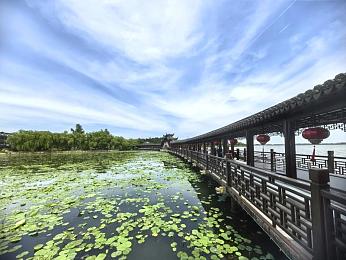 六月直播：夏日电竞狂欢盛宴，畅游游戏世界，尽享视觉盛宴-2