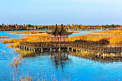 大香香煮依在2021一二三：SEO利器革新，＂大香香＂助您乘风破浪，领跑2021搜索潮流-2