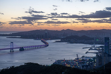 tk 固定手脚痒 刑审：刑审奇招：痒点固定术助力案件突破，破解犯罪疑云