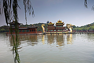 漂亮丰年经的外观与特点介绍：千年古韵，家具珍宝：美丽丰年经，传承家居美学之道-2
