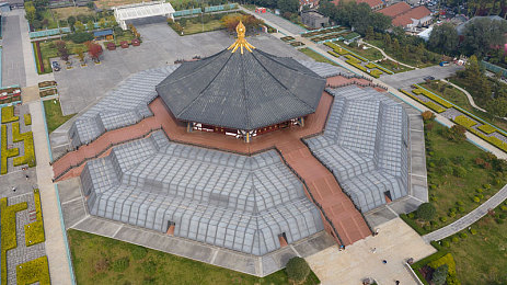 九色PORNY视频国内自：穿越时空的创意剧场，情感与科技交织的视听盛宴-3
